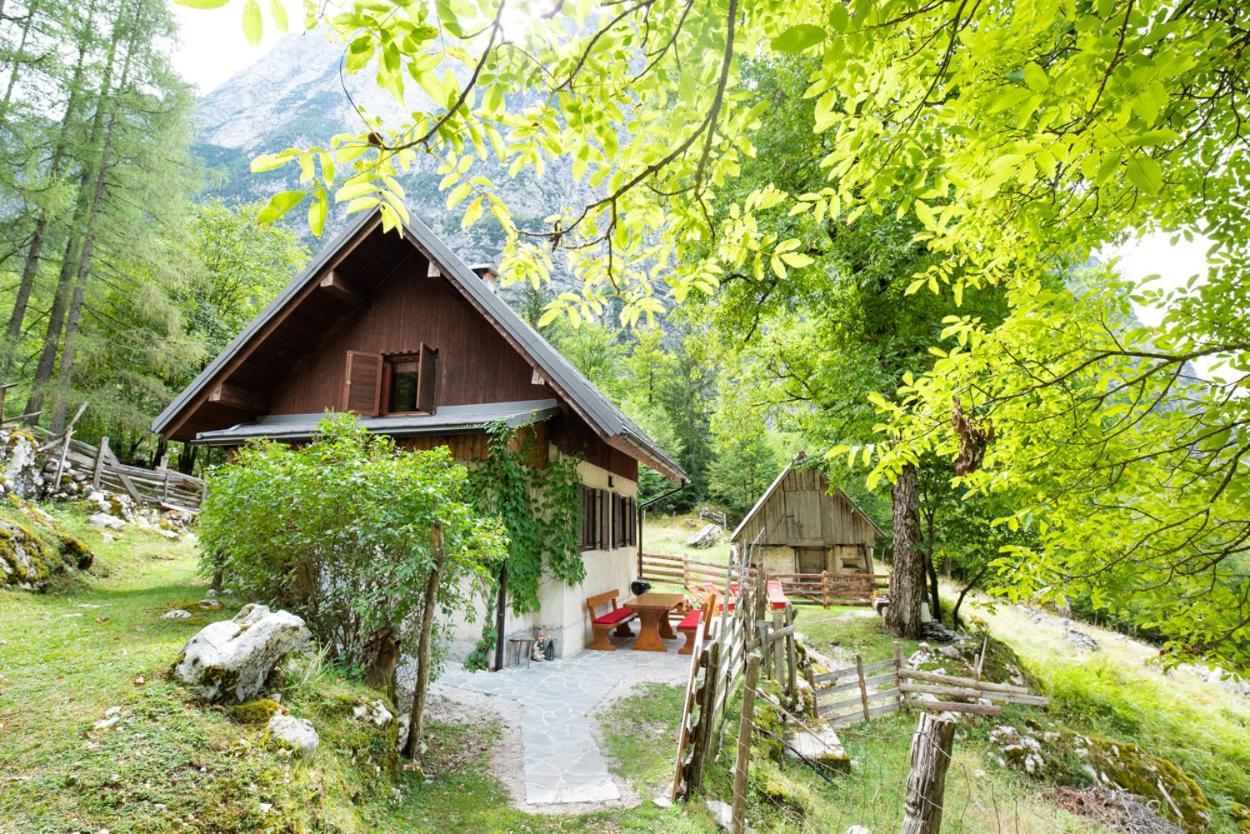 Alpine House Antonia Trenta Exterior foto